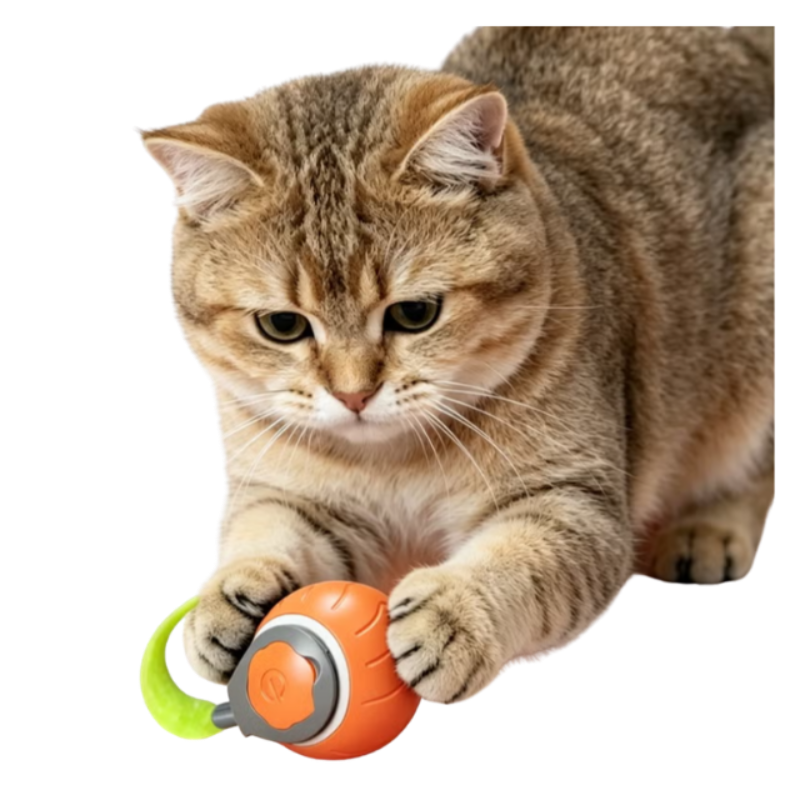 Automatic Cat Ball